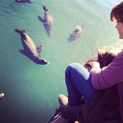  @ericcolsen:  "Shooting in San Pedro with my new best friends. If I dive in do u think they'll wanna cuddle? #ncisla"