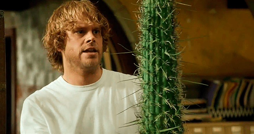 NCISLA Black Wind Deeks Cactus