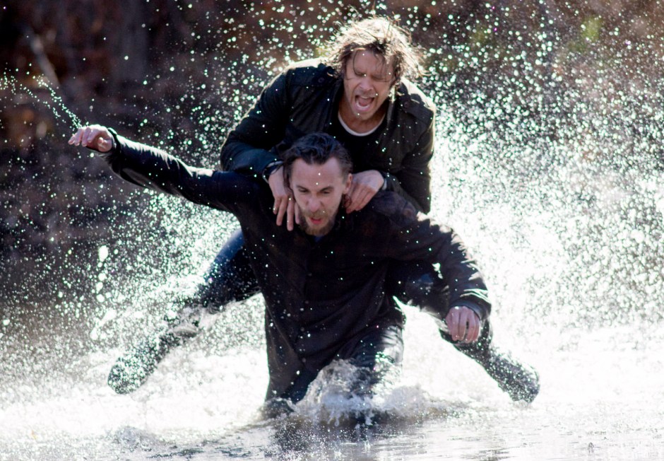 Forest for the Trees