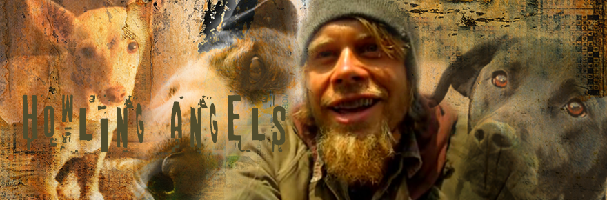 Howling Angels landscape